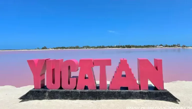 PROFEDET Yucatán al Descubierto: Dirección, Teléfonos y Horarios de Ayuda Proyecto nuevo – 2023-11-01T203433.003