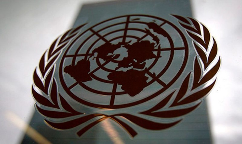 Las ONG y las Naciones Unidas: Una Alianza para el Cambio ong-naciones-unidas