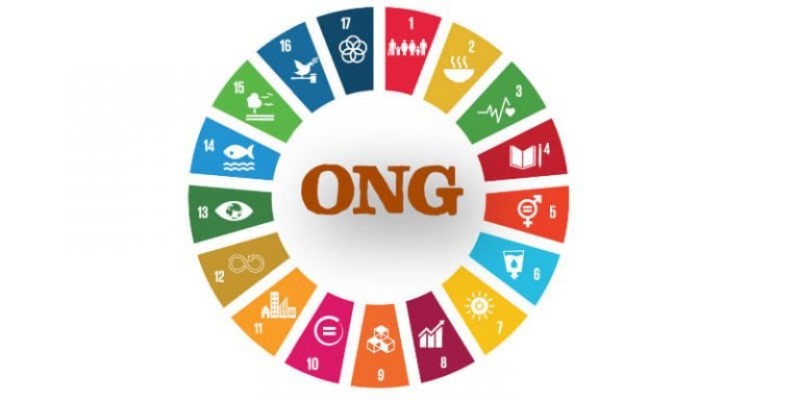 Organizaciones ONG: Entendiendo el Impacto Social y Humanitario organizaciones-ong